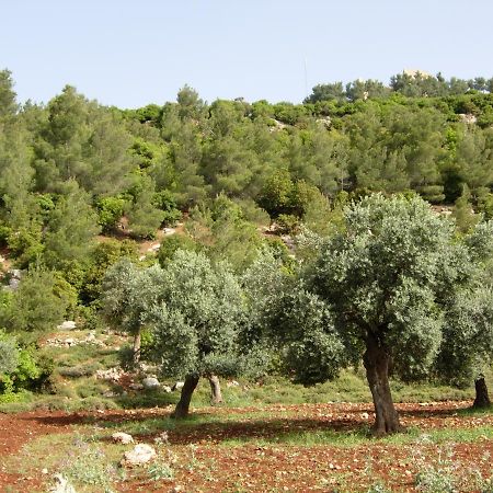 Ajloun Hotel ภายนอก รูปภาพ