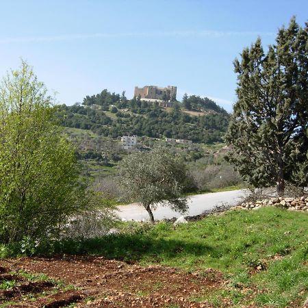 Ajloun Hotel ภายนอก รูปภาพ