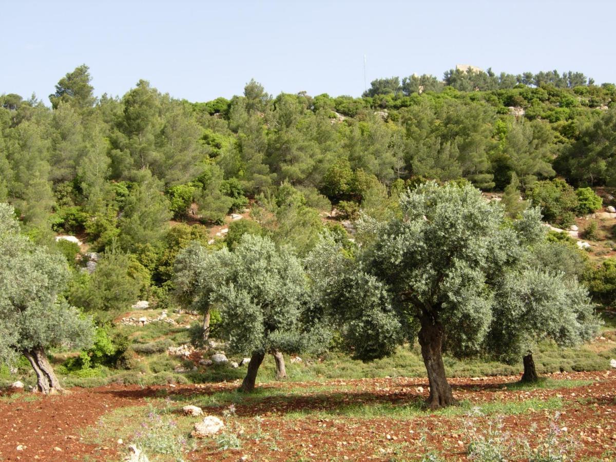 Ajloun Hotel ภายนอก รูปภาพ