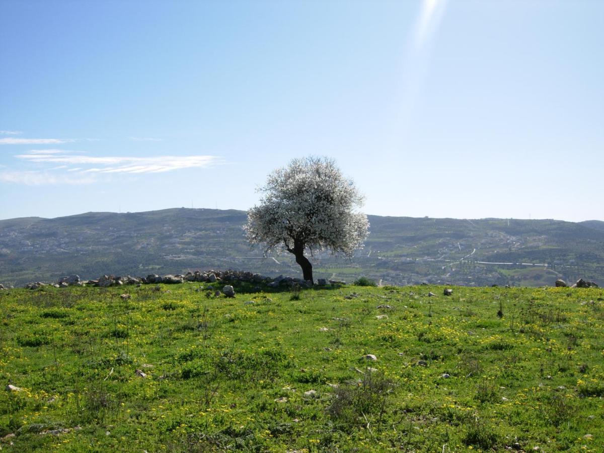 Ajloun Hotel ภายนอก รูปภาพ